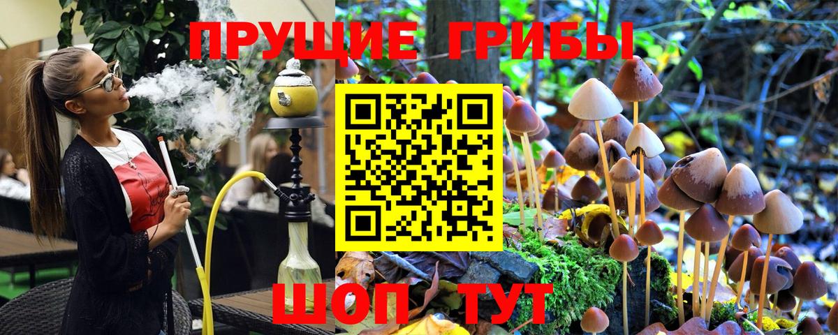 Галлюциногенные грибы прущие грибы  Вход с VPN  Фролово  Псилоцибиновые грибы Psilocybine cubensis 